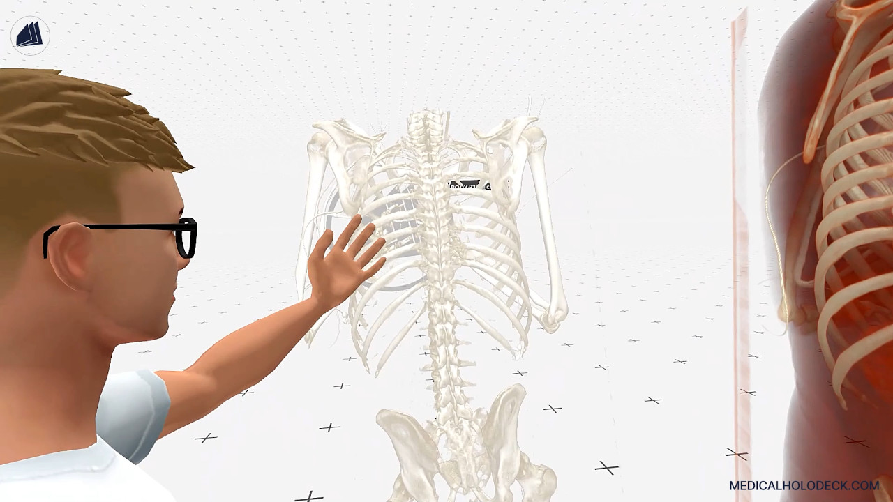 The anatomy of the spine thumbnail 5