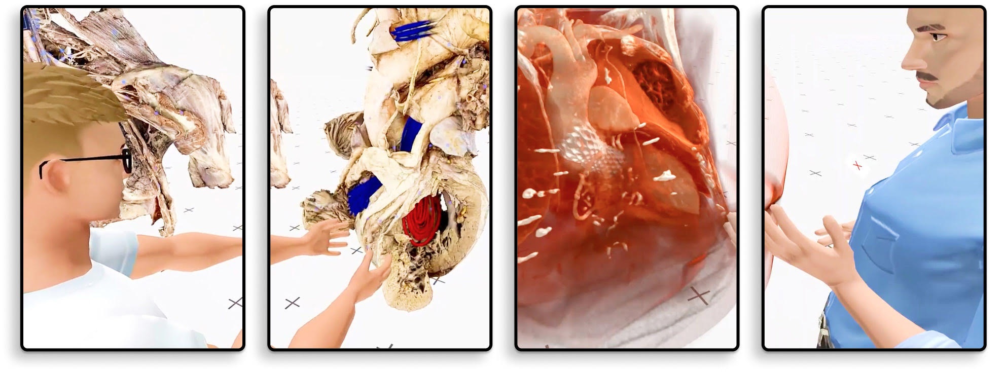 Medicalholodeck on iPad and iPhone