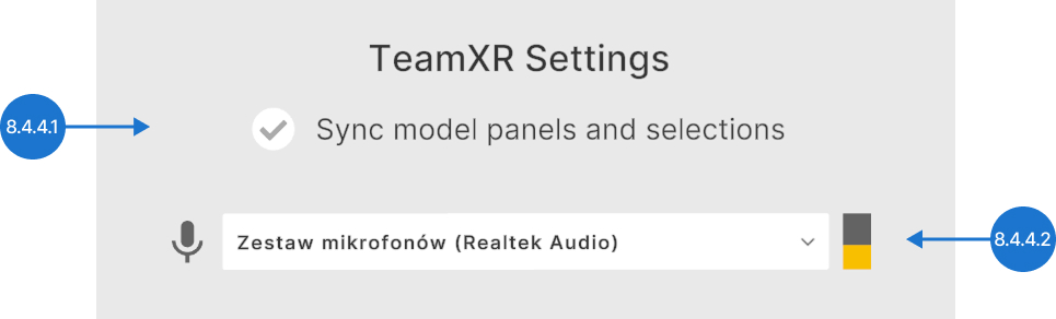 TeamXR settings